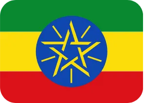 አንዴ መመሪያዎች